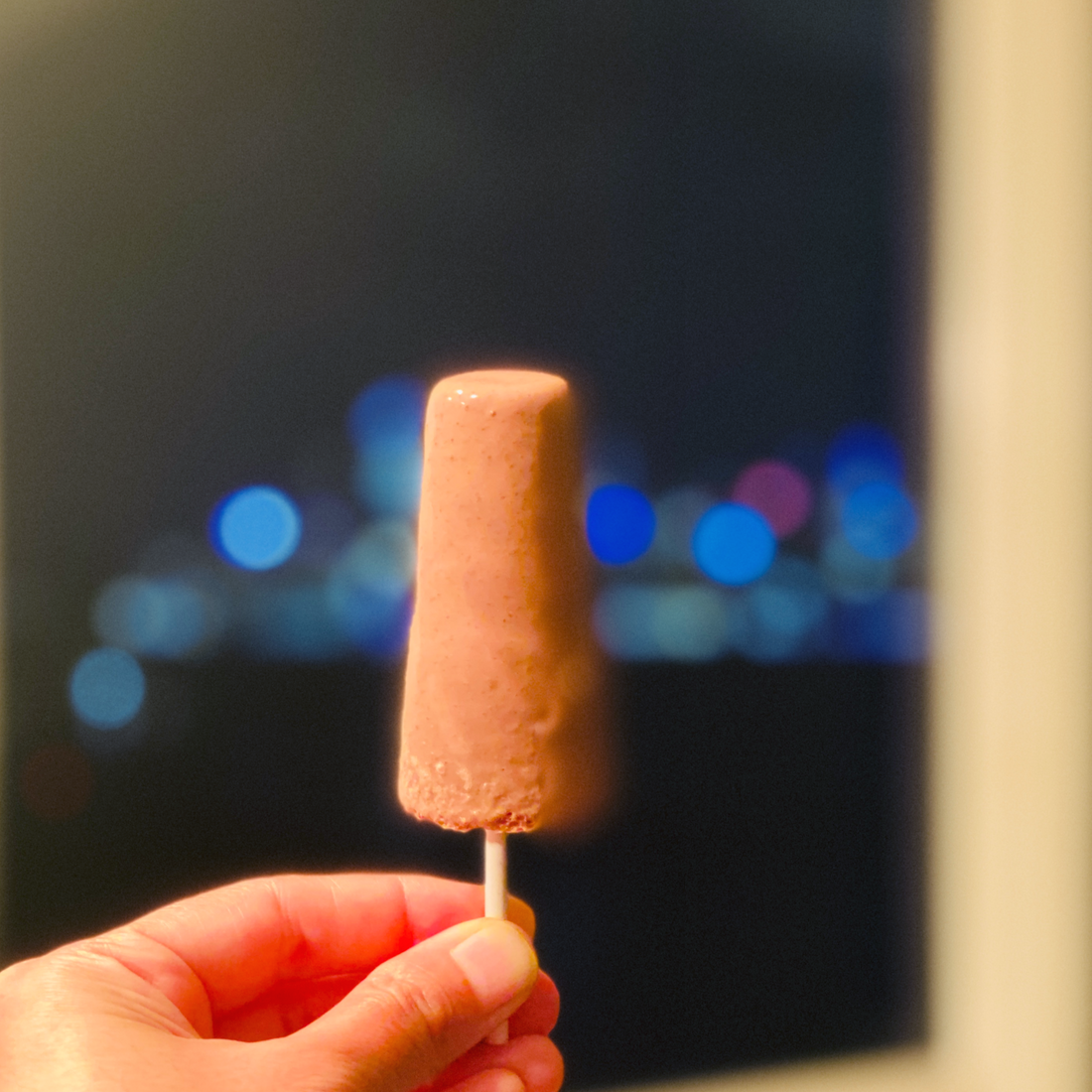 Vegan Fudgesicles