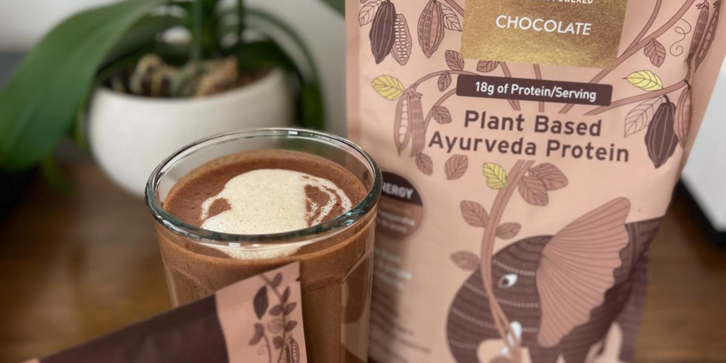 plant based Ayurveda protein