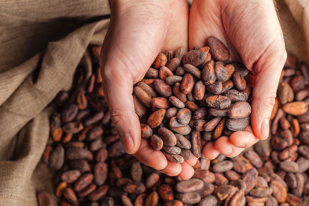 How to Understand the Cocoa Percentage in Your Chocolate?