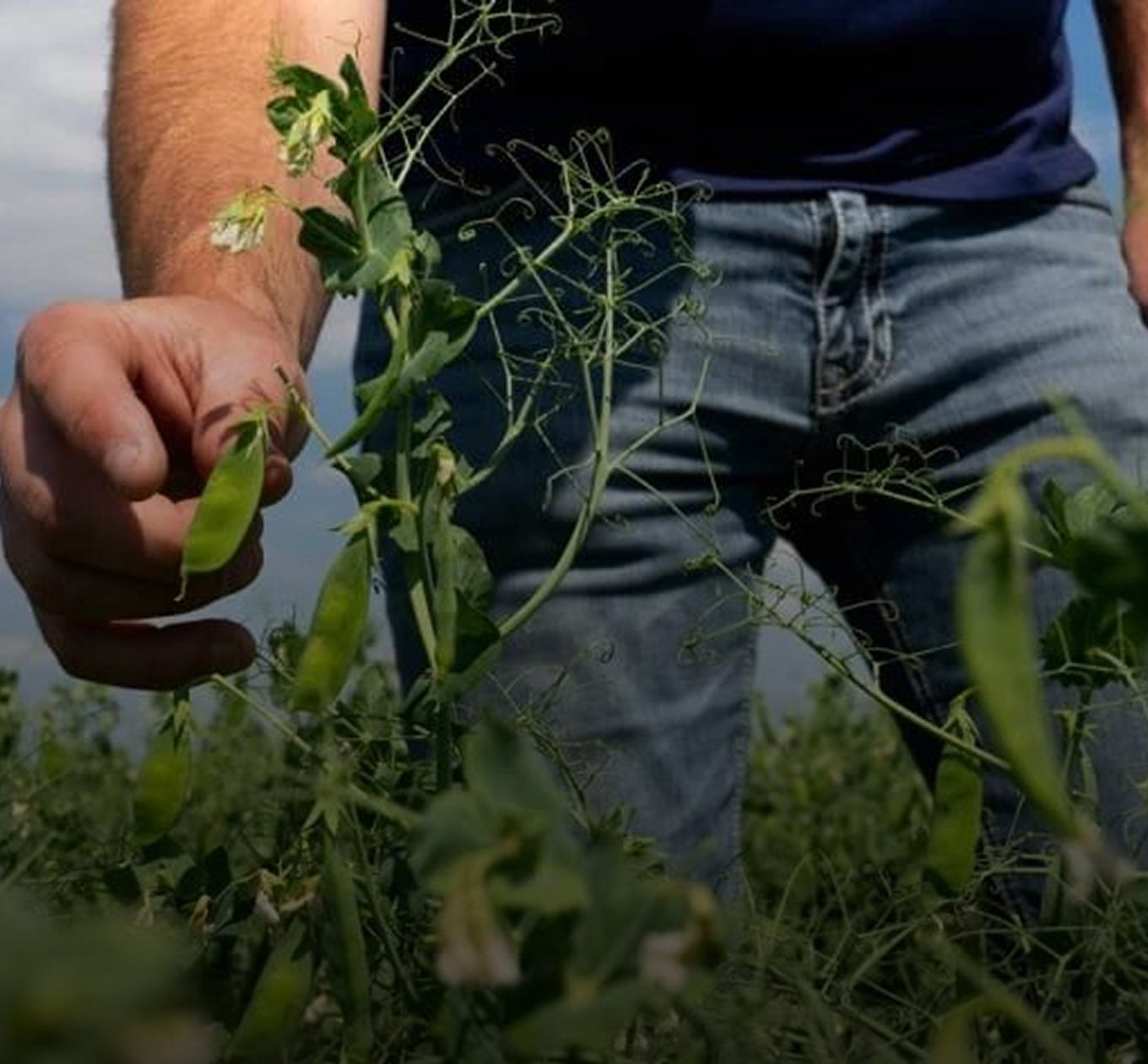 our commitment to sustainability  