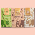 Protein Variety 3-Pack (42 Servings)